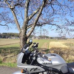ヤマハ　FZ400　4YRの画像