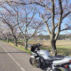 ヤマハ　FZ400　4YRの画像