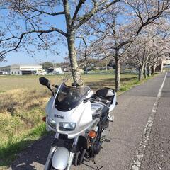 ヤマハ　FZ400　4YRの画像