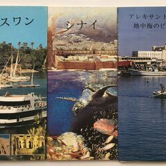【おまけ 11-1】現地で購入した観光ガイドetcの画像