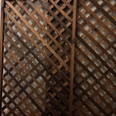 ガーデニング　柵※2個セット売り