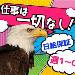 日給1万円～男女スタッフ大量募集！日･週払いOK！週1～勤務OK...