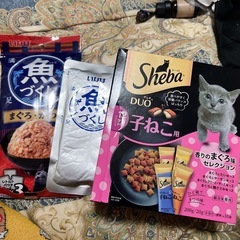 ①決まりました！ネコ おやつ