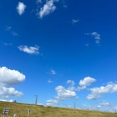 ◆高槻の草野球チーム★追加メンバー募集！       