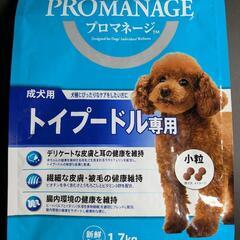 ドッグフード