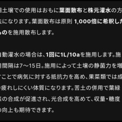 レッドラムズホーン 50匹以上 の画像
