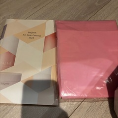 サキナ　ルルシェ　SAQINA LULUSIE スチーマー　美顔器　美容機器　コメット　フヨウサキナ　高級美顔器　多機能の画像
