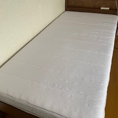 ニトリ　シングルベッドフレーム(スピース3 SL/MBR) 【マ...