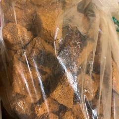 免疫アップ　カバノアナタケ茶　お試し　3パック約一週間分の画像