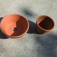 植木鉢、セメントプランターの画像