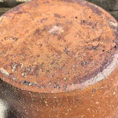 睡蓮鉢の画像