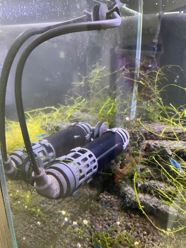 【値下げ】水槽セット