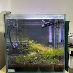 水槽セット