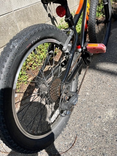 Trek 子供用バイク 20インチ 