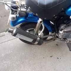 ホンダモンキーの画像