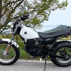 Yamaha TW200 ヤマハ　引取り限定