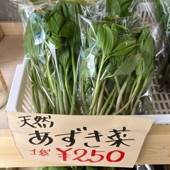 あずき菜