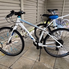 Giant escape jr 24