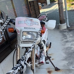 　HONDA XLR250の画像