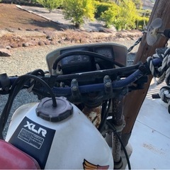 　HONDA XLR250の画像