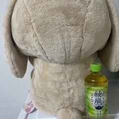 うさぎ　ぬいぐるみの画像