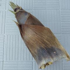 【取引中】竹の子