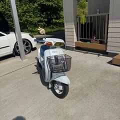 ヤマハ ミント YAMAHA MINT 車両交換　の画像