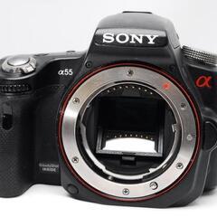 スマホへ簡単転送♥ SONY α55 ダブルレンズキット 初心者でも安心✨