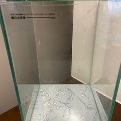 早い者勝ち‼︎水槽➕その他（GW限定）