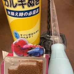 早い者勝ち‼︎水槽➕その他（GW限定）の画像