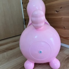 ロディの画像