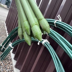 家庭菜園　アーチ支柱他　園芸セットの画像