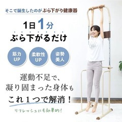 ぶら下がり健康器具　懸垂　トレーニング　