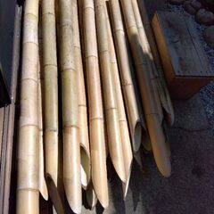 無料　竹　竹垣　門松　差し上げます　先日の残り