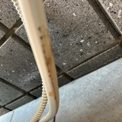 パナソニック　食洗機の画像