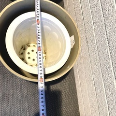 室内用の観葉植物の鉢×2セットの画像