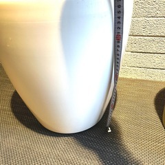 室内用の観葉植物の鉢×2セットの画像