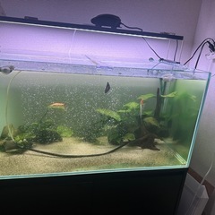 90cm水槽