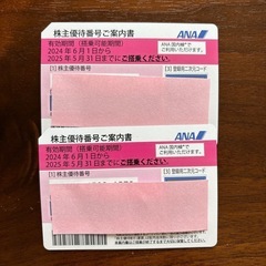 ANA 全日本空輸　株主優待券2枚セット