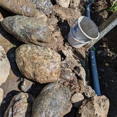 【無料】石 30個前後 20〜40ｃｍ