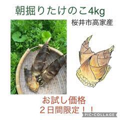【お試し価格!半額】朝採りタケノコ　約4kg　米ぬかプレゼント③