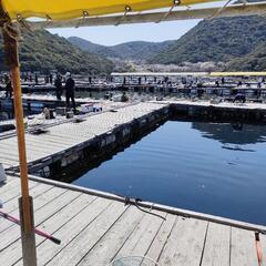 海上釣り堀にご一緒しませんか？ − 大阪府
