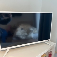 液晶テレビ　32型