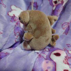 モフサンド   マスコットの画像