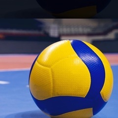 初級者の為のバレーボール🏐