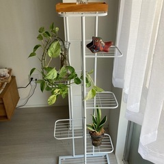 棚　シェルフ　美品　植木鉢置き　小物置き