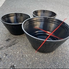 メダカ鉢　プラ　2点セット