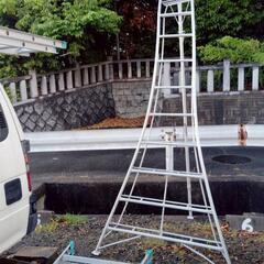 園芸用脚立　10尺　の画像