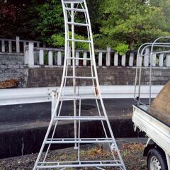 園芸用脚立　10尺　の画像