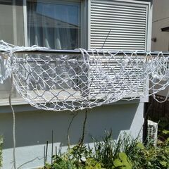 商談中 ハンモックさしあげます